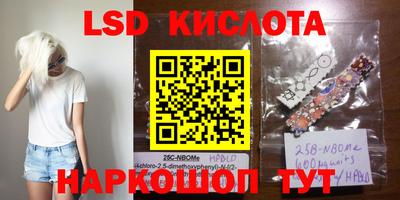 стаф Ливны
